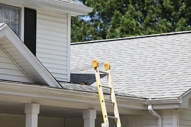 Best Storm Damage Siding Repair  in Slayton, MN